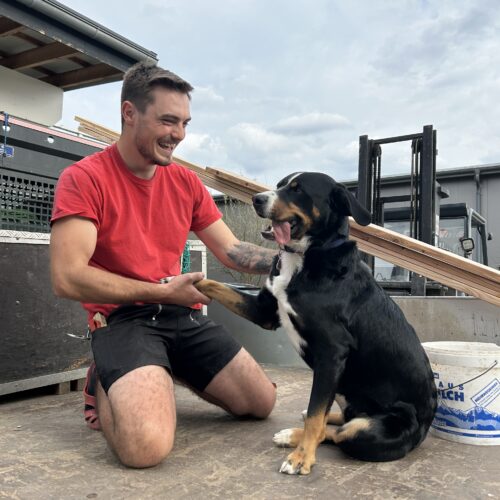 Handwerker mit Hund auf Baustelle